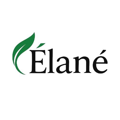 website logo